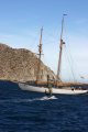 Returning the board Alcyone